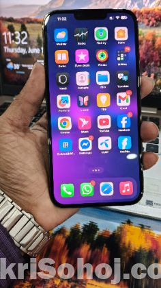 iPhone 13 pro Max
